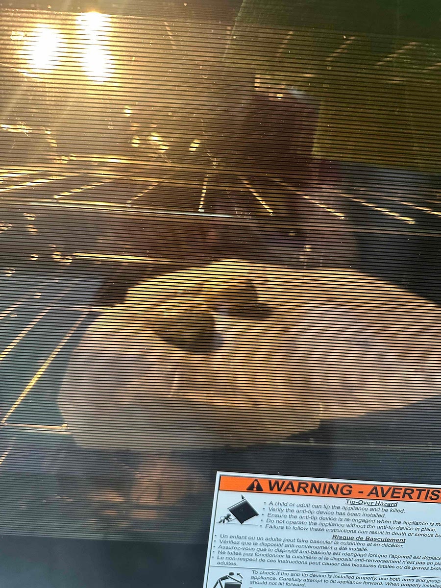 Bake for 15-20mins or until they take a golden colour.