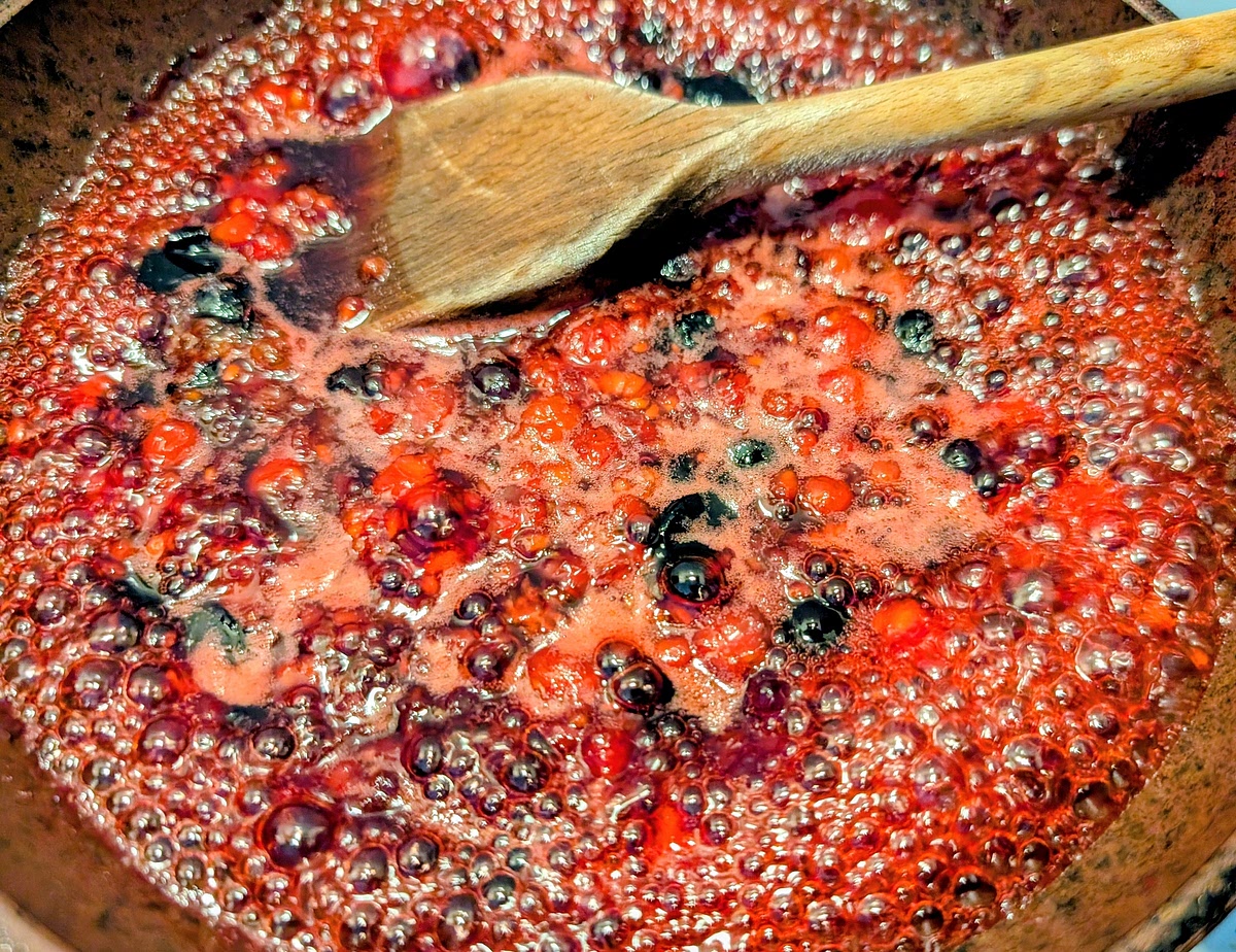 Mash berries gently as they soften (should take about 5 minutes to this stage).