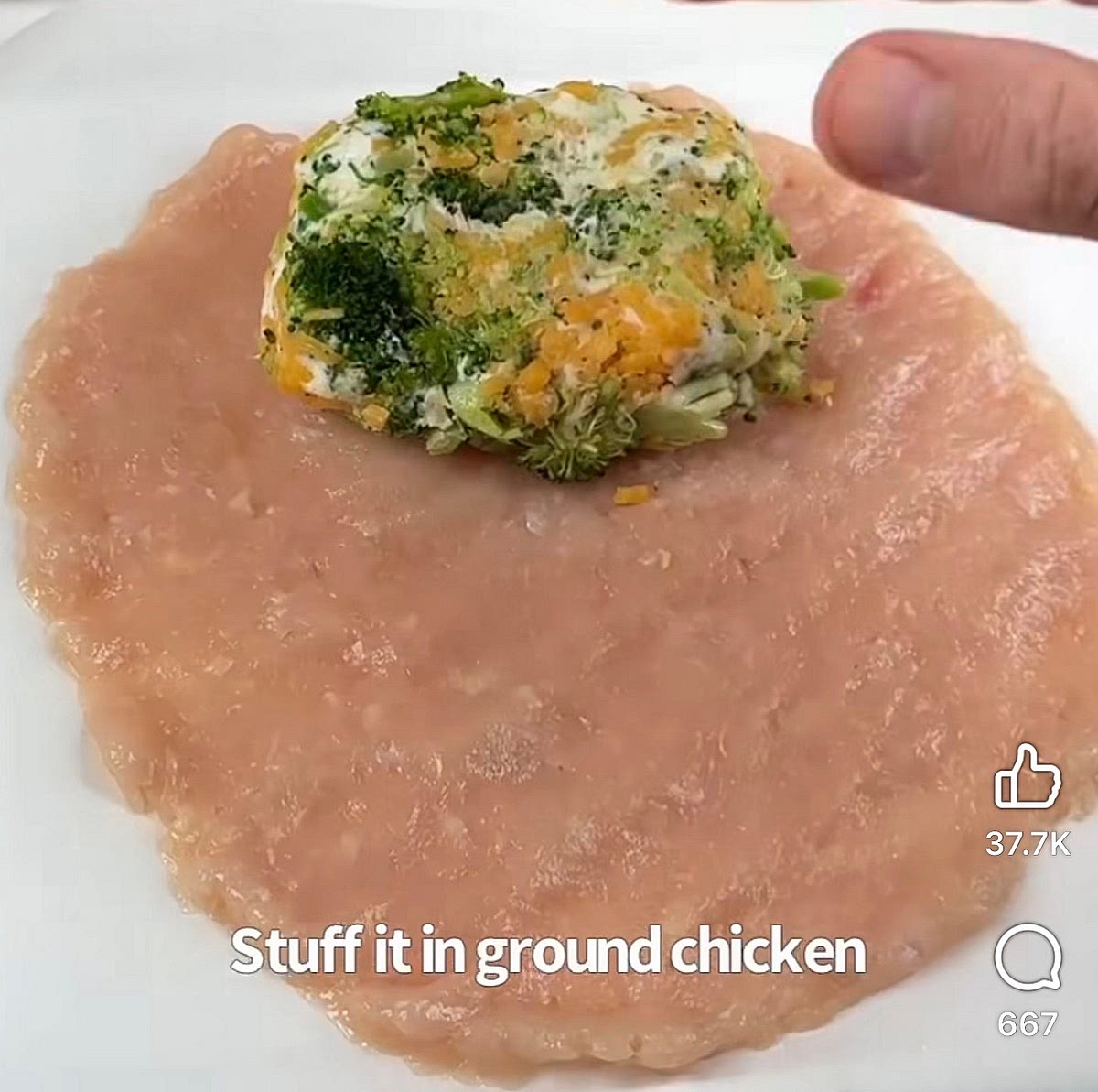 Flatten your ground chicken between two greased sheets of parchment paper and shape into a circle.