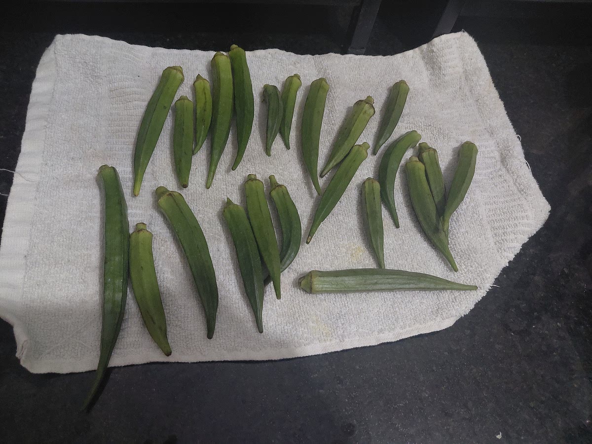 Wash and dry 200 gm of Bhindi.