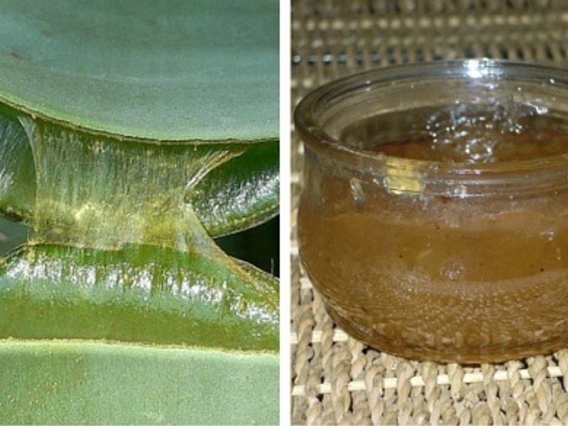 aloe vera wirkung auf die haut Aloe Vera Gel – 100% Feuchtigkeit [Kühlend & Pur]