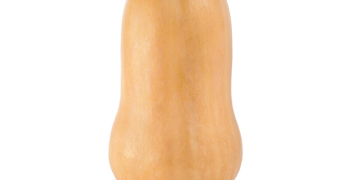 Squash Recipes Babies