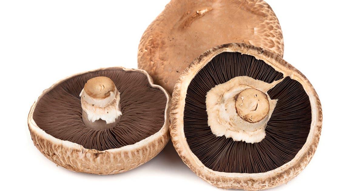 24 Easy Flat mushroom Recipes