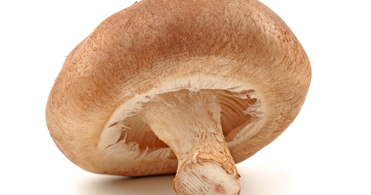 862 Easy Shiitake Mushroom Recipes
