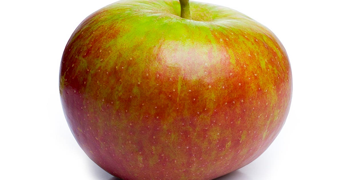 8 Easy Cox apple Recipes