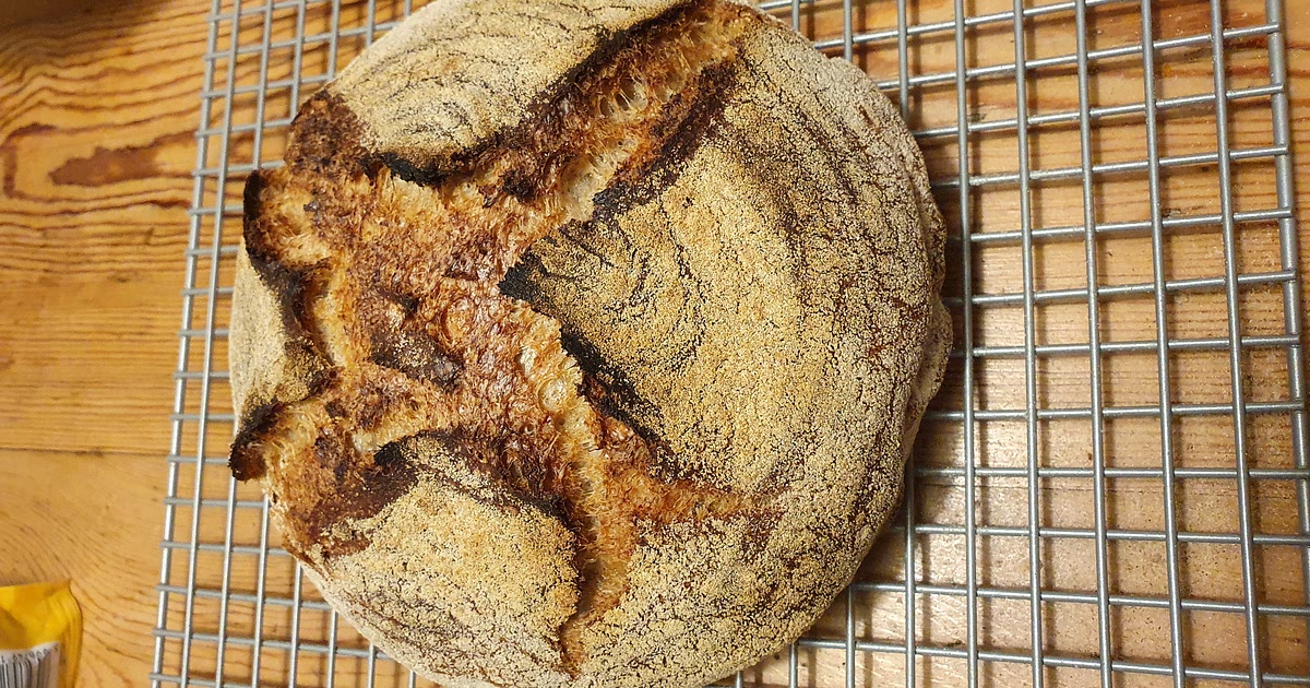 18-hour pro baker's white sourdough Recipe | Samsung Food App