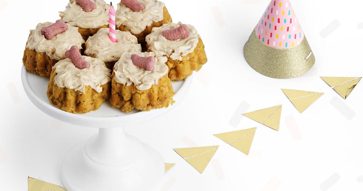 Pumpkin Peanut Butter Dog Cake Recipe | Samsung Food App