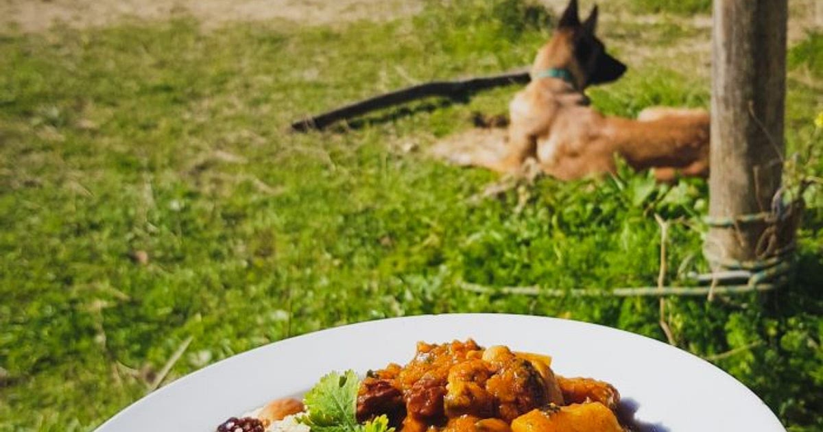 Campervan Moroccan inspired stew Recipe | Samsung Food App