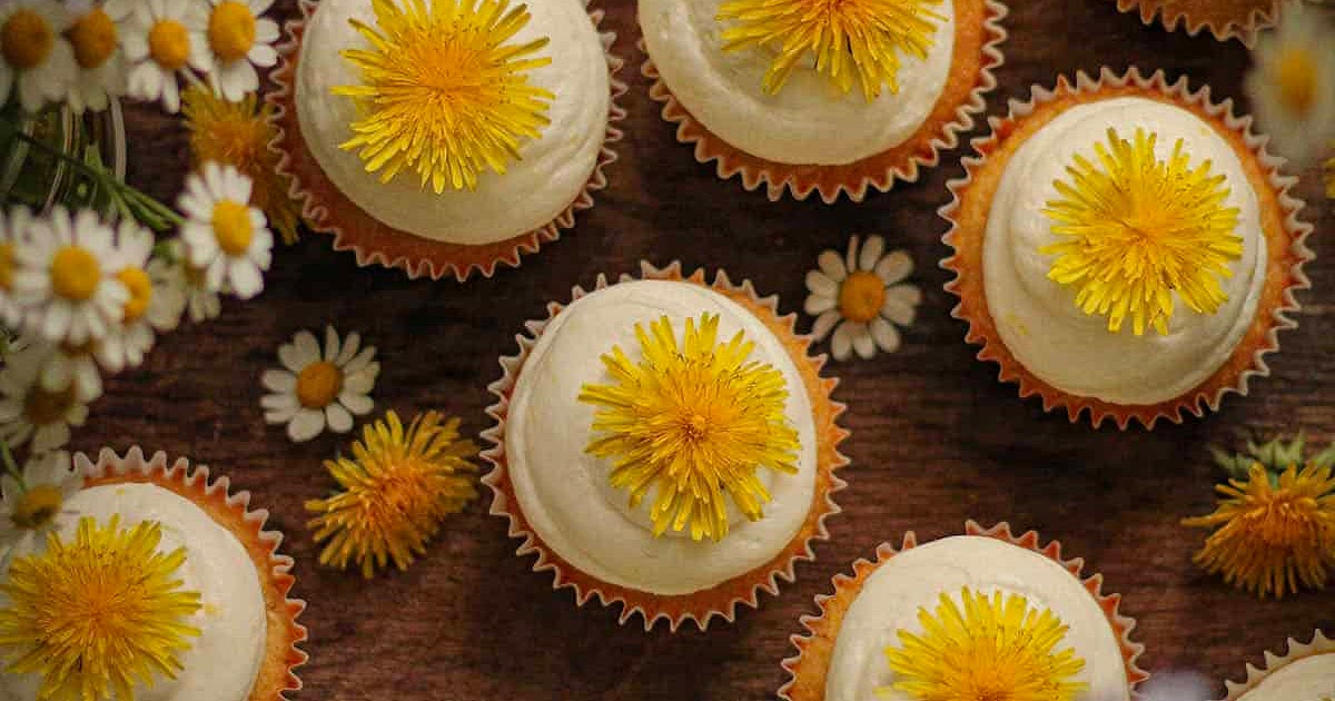 Dandelion Cupcakes with Lemon Buttercream Frosting Recipe | Samsung Food App