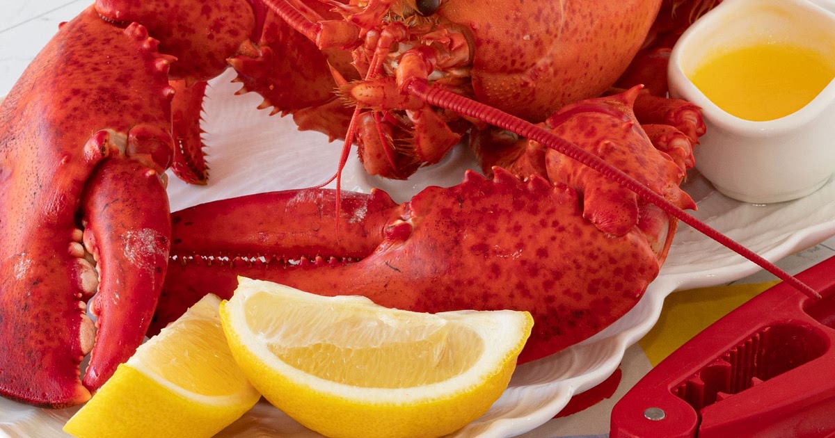 Nova Scotia Creamed Lobster Recipe | Samsung Food App