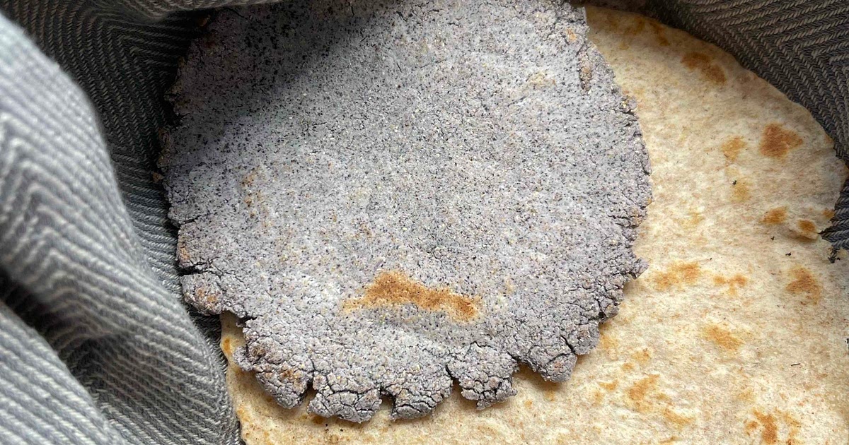 Masa Harina Tortilla Recipe | Samsung Food App