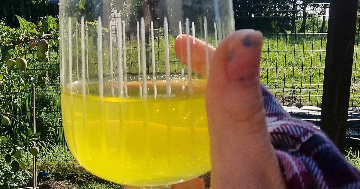 Lemonade Recipe | Samsung Food App