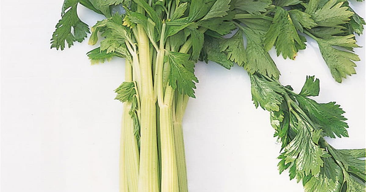 Cream of Celery Soup Recipe | Samsung Food App