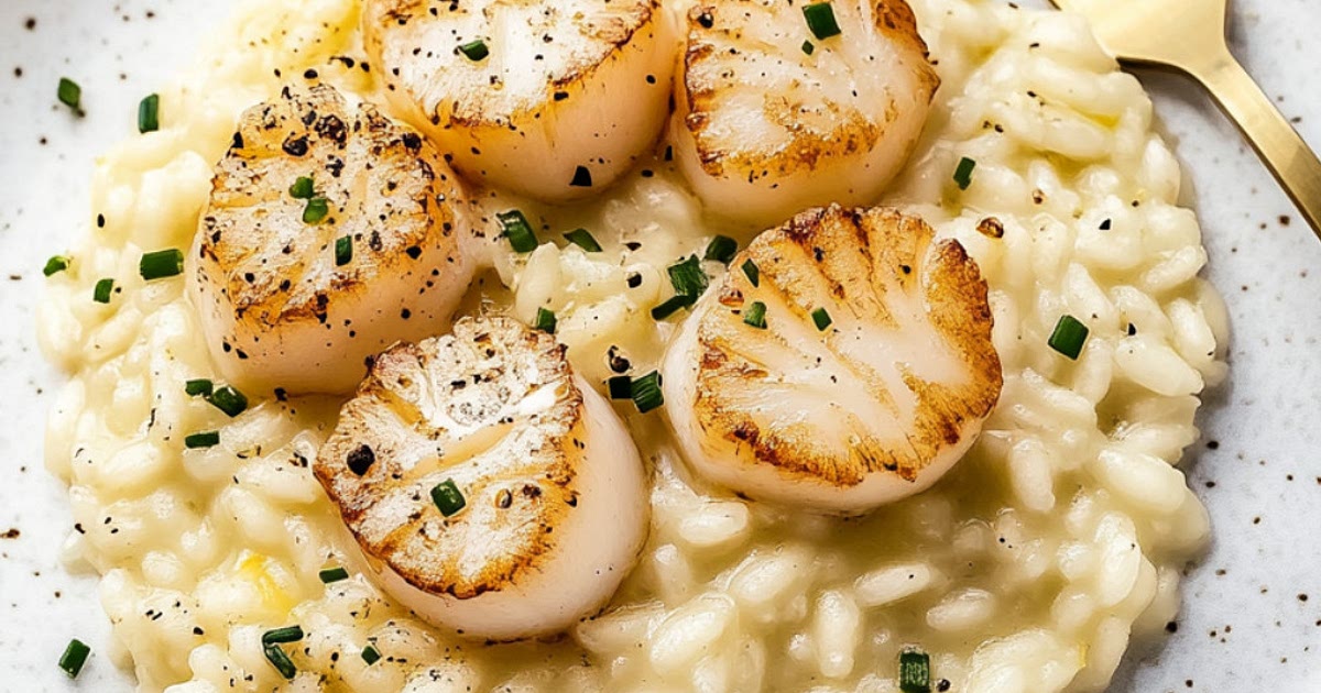 Gordon Ramsay Risotto Master Class Gordon Ramsay Scallop Risotto Recipe | Samsung Food App
