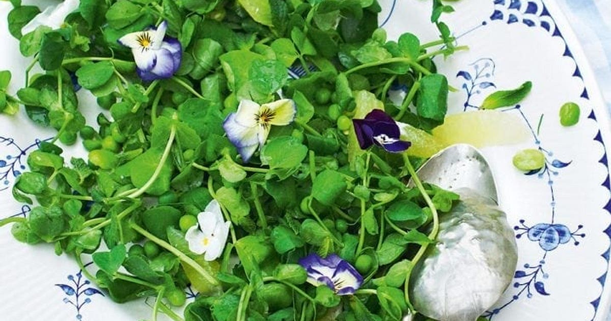 Pea shoot salad Recipe | Samsung Food App