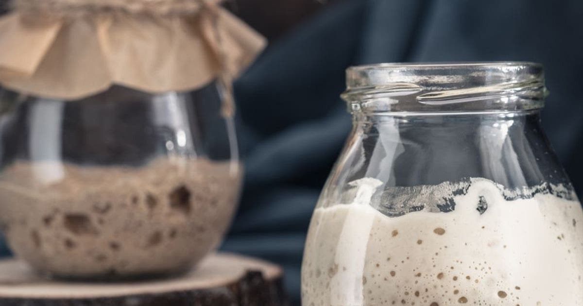 Feeding Sourdough Starter for Baking Bread Recipe | Samsung Food App