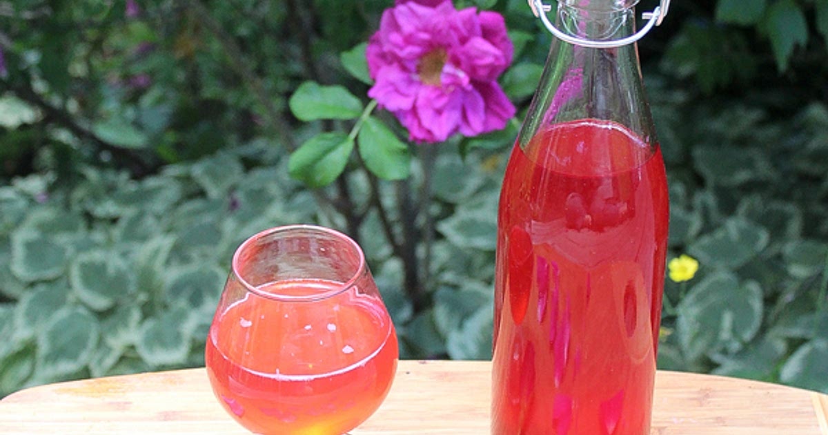 Rose Cordial Recipe | Samsung Food App