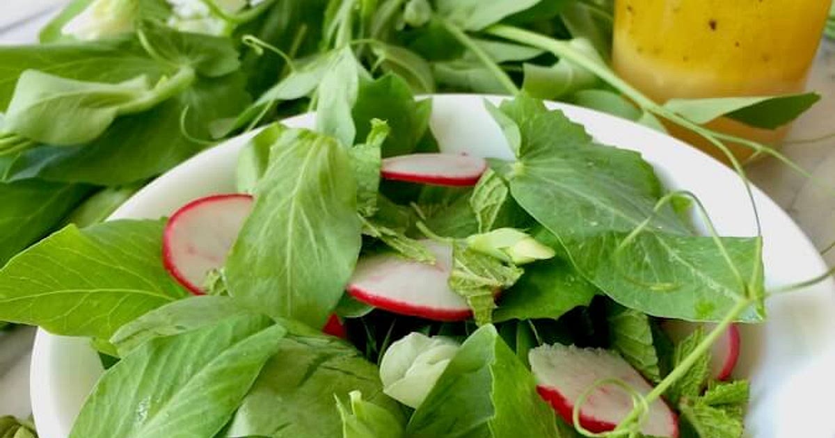 Spring Pea Shoot Salad with Lemon-Garlic Dressing Recipe | Samsung Food App