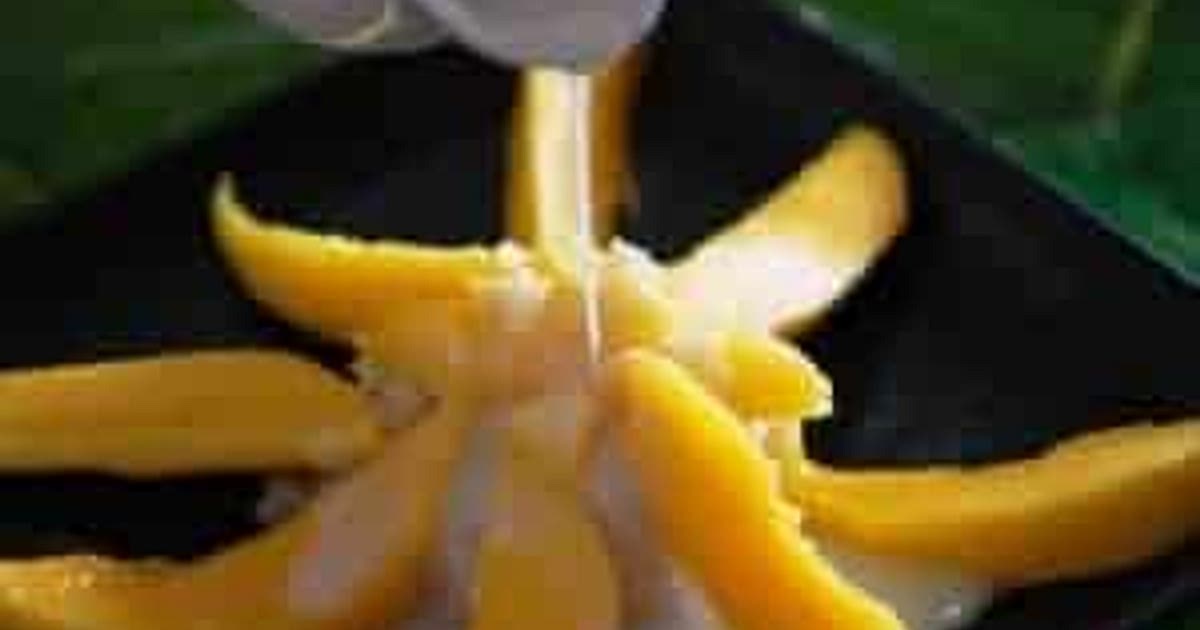 Mangoes with Sticky Rice Recipe | Samsung Food App