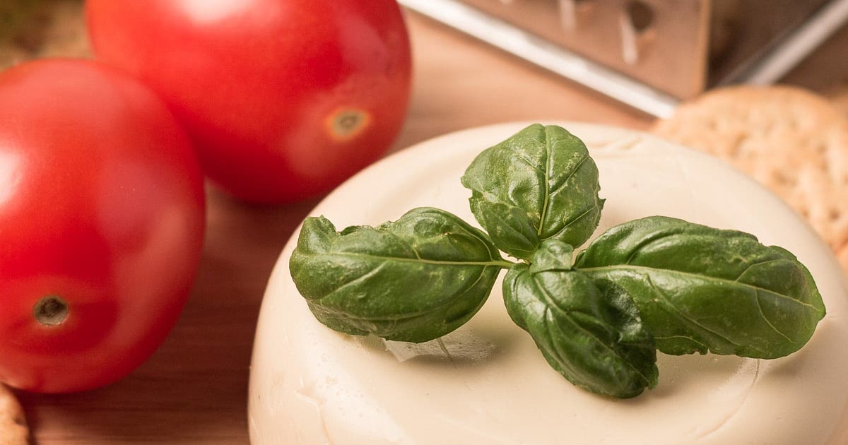 Oil Free Vegan Mozzarella That Melts Recipe | Samsung Food App