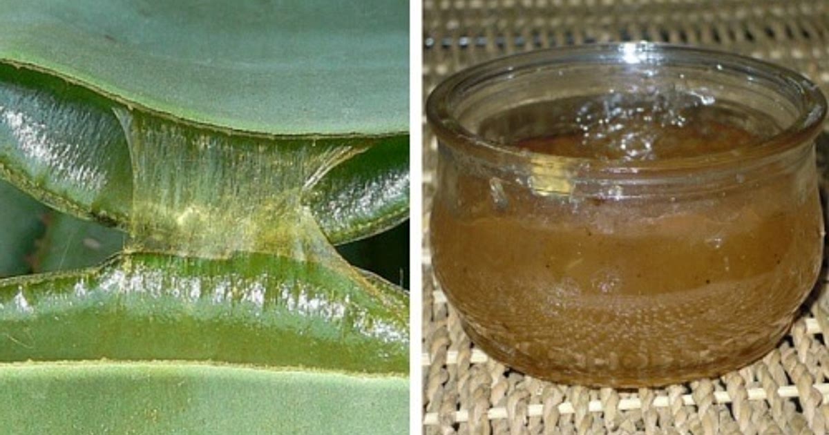 How to Make a Healthy Aloe Vera Jelly Recipe | Samsung Food App