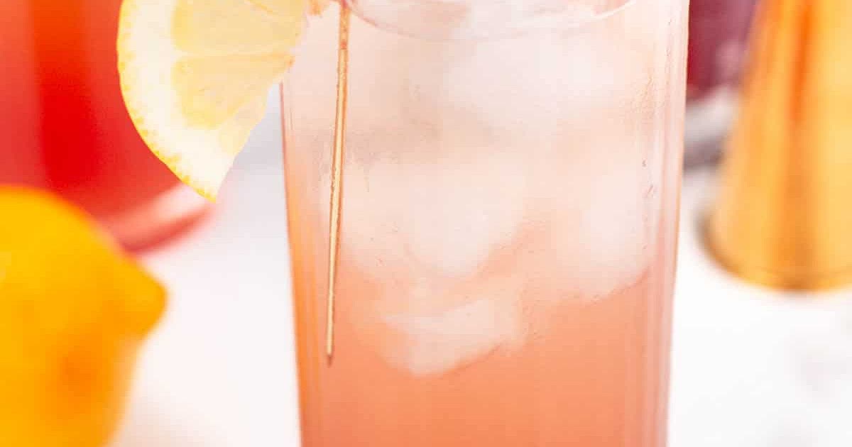 Sloe Gin Fizz Recipe | Samsung Food App