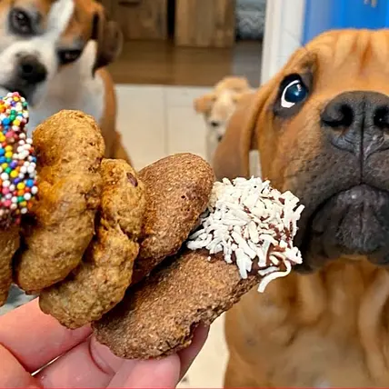 Rocky Kanaka's Dog Treat Recipes