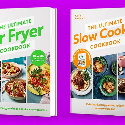 Ultimate Air Fryer Recipes