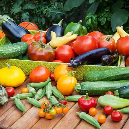 SpaulySeasonalServings-  Yummy Seasonal Recipes