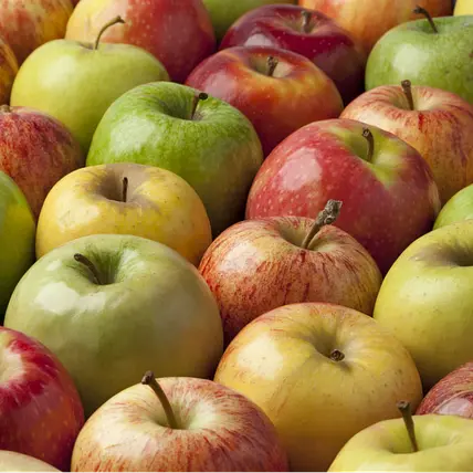 Apple Harvest Recipes