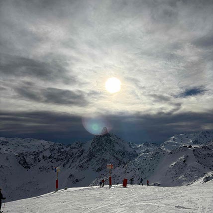 Lys blanc Snow School