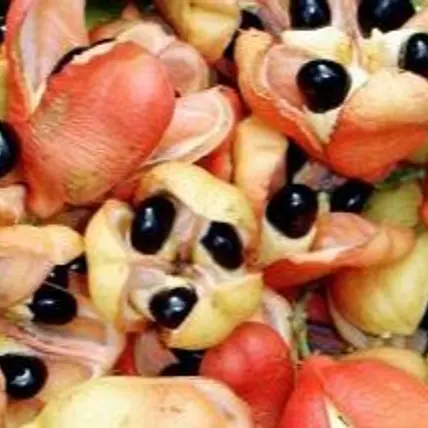 JamaicanISH Foods