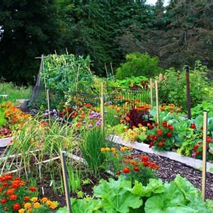 Home grown foods