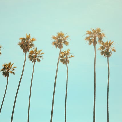 Santa Monica Cooks