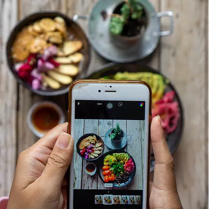 Vegans of Insta
