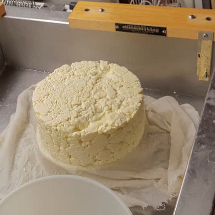 Cheese It!