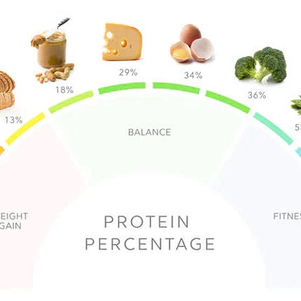 High Protein Healthy Dishes