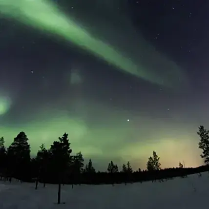 Winter Solstice 2024
