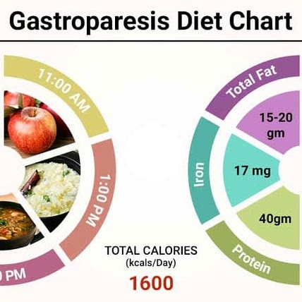 Gastroparesis Recipes