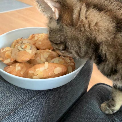 Boniquets meals