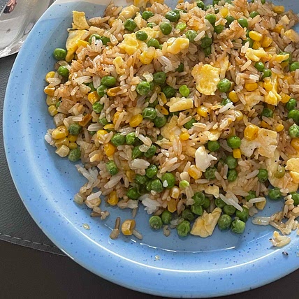 Vegetarian air fryer